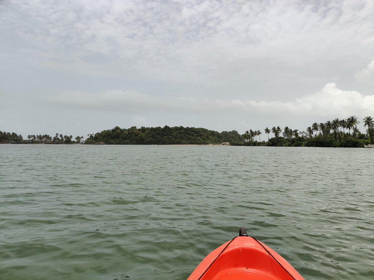 trishlasingh's tweet photo. #Goa #Talpona #nature https://t.co/USQu9b2J09