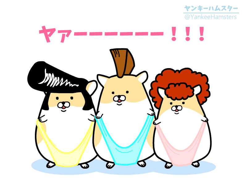 ヤンキーハムスター 公式 Yankeehamsters Twitter ヤンキーハムスター 公式 Yankeehamsters Twitter
