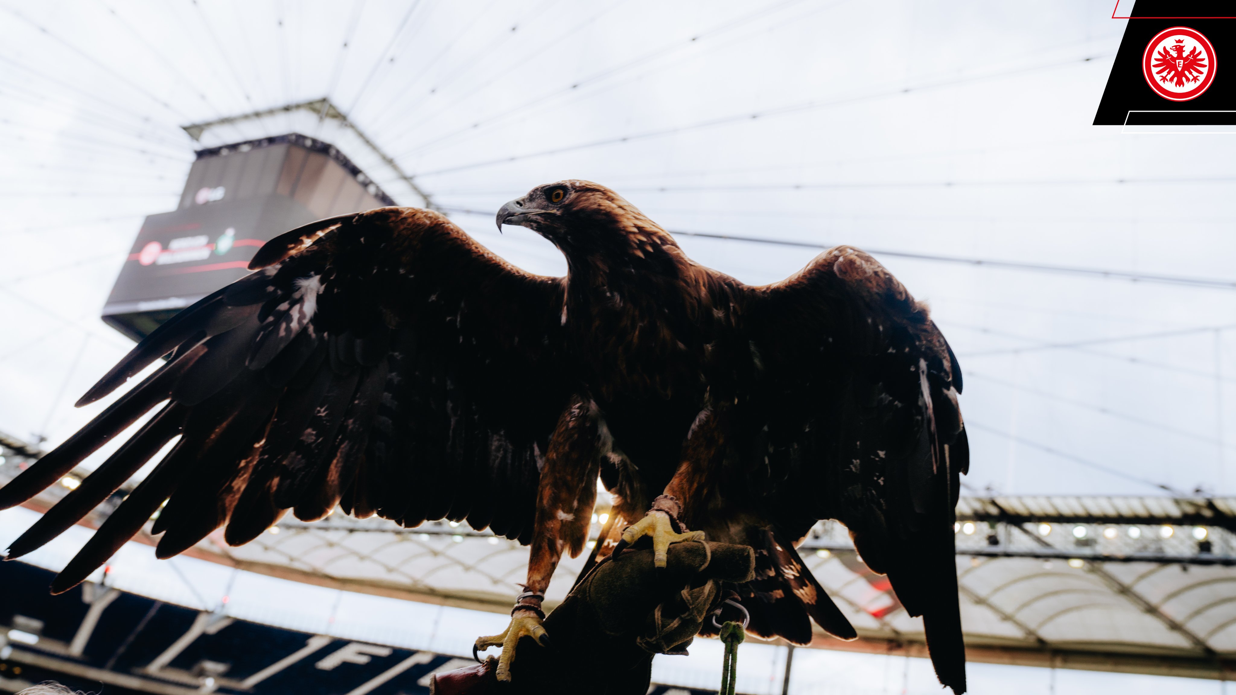 Slogan Klub Liga Jerman Peserta Bundesliga 2023/24 Beserta Artinya - E7x