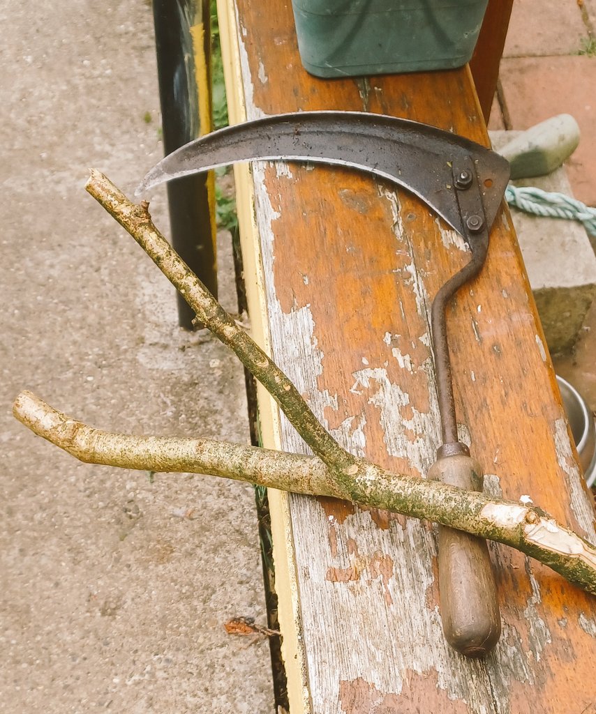 Folks, I was scarting on the road this morning and a family passing asked what the forked stick was for. I can't be the only person alive still using a "gowl og" (phonetic) ? A stick to hold back what you are cutting with a sickle or a scythette #Cheekpoint #Waterford #Ireland