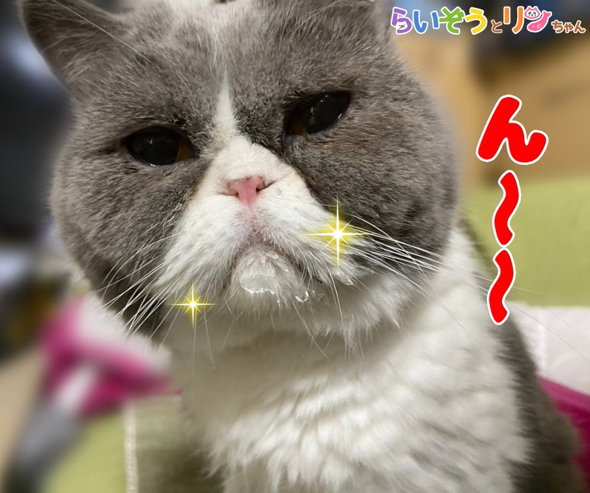 行徒 Yukit0o0 Twitter