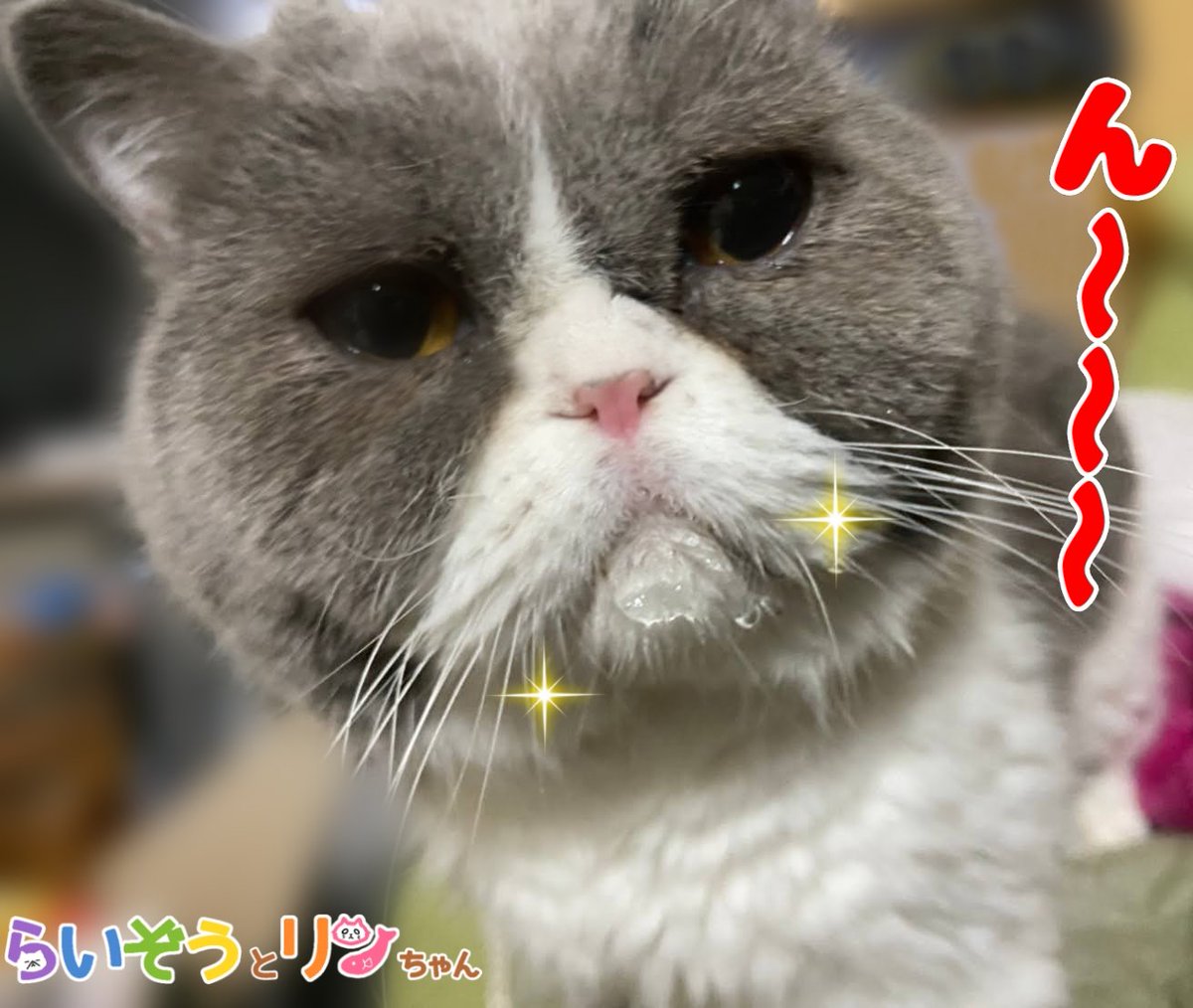 行徒 Yukit0o0 Twitter