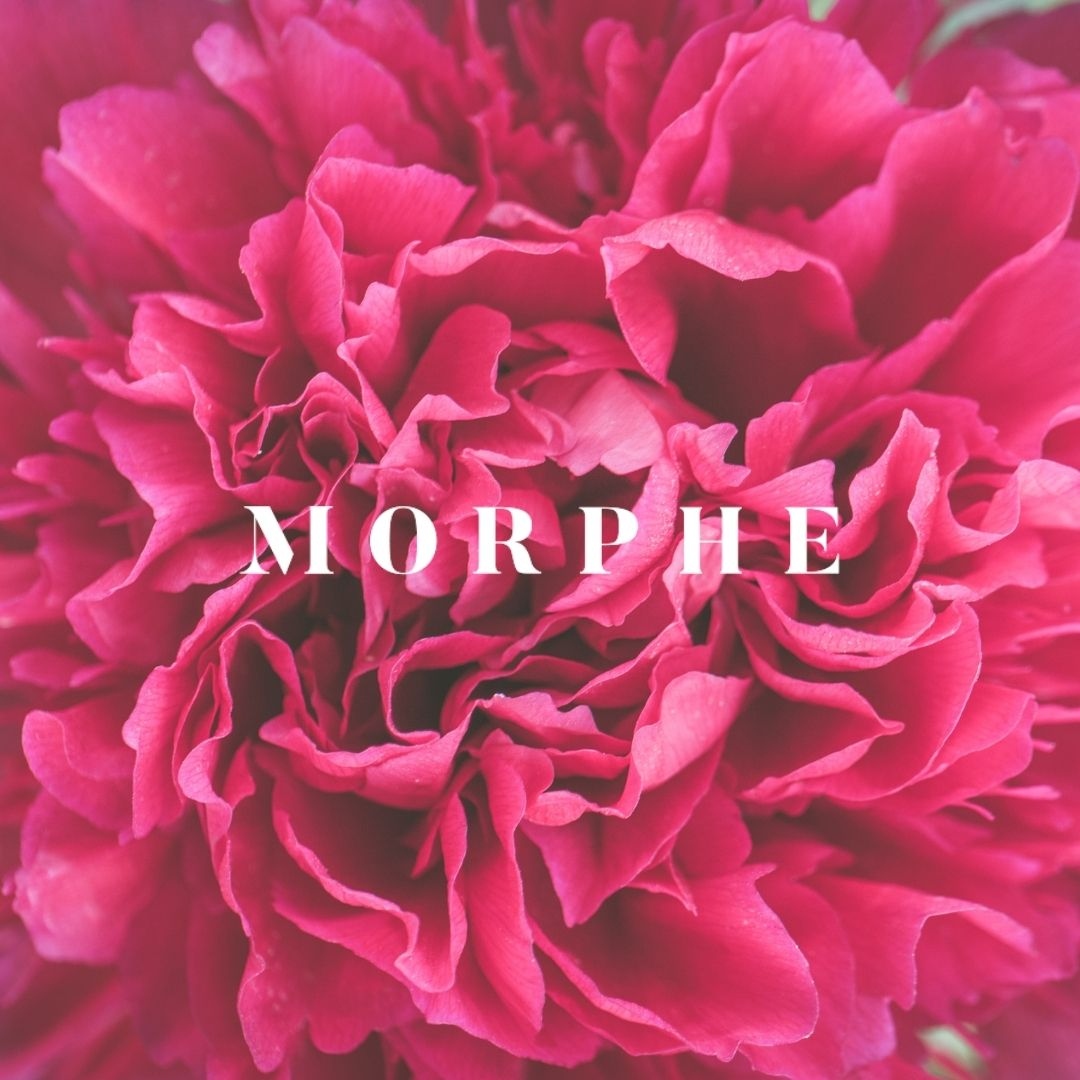 entrepreniston's tweet photo. #startup Morphe provide quality and affordable make-up tools and products to unleash the imagination https://t.co/7jiDnCgpSt https://t.co/ZhF0MsnbXF