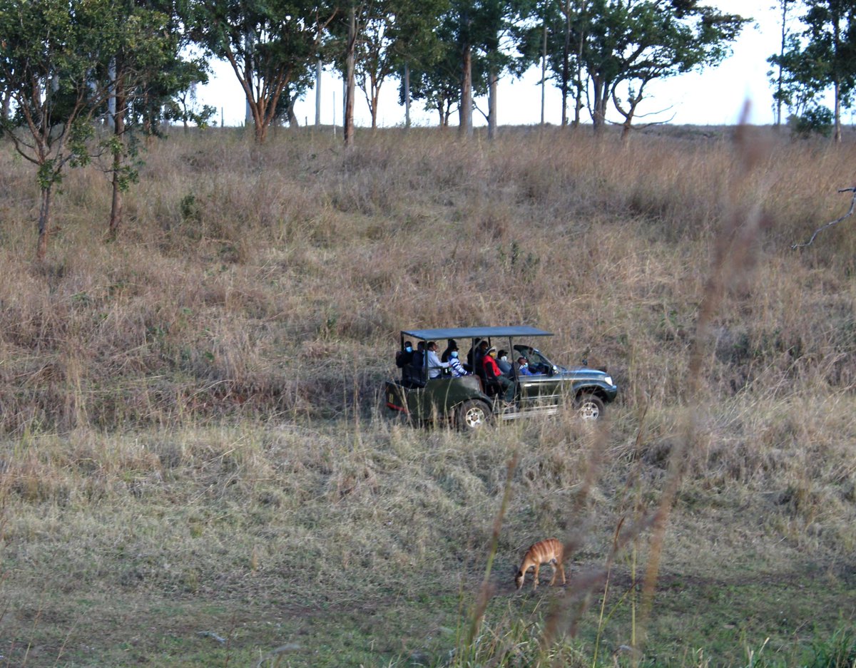 The #TeambuildingSeminar was filled with fun activities including an adventurous game ride where our team experienced the beautiful views and nature of <a href="/GameHavenLodge/">GameHavenLodge</a> in Bvumbwe.