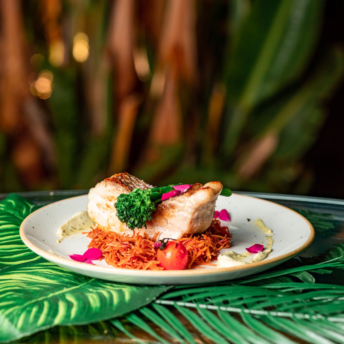 Déjese recomendar por nuestros platos frescos del día, le sorprenderemos gratamente!!

Como por ejemplo la Urta de Conil acompañada de Fideos Tostados a la Brasa y Salsa ligera de Hierbas…. 
La boca hecha agua!!!!

#urta #urtadeconil #conil #pescado #malaga #restaurantesmalaga