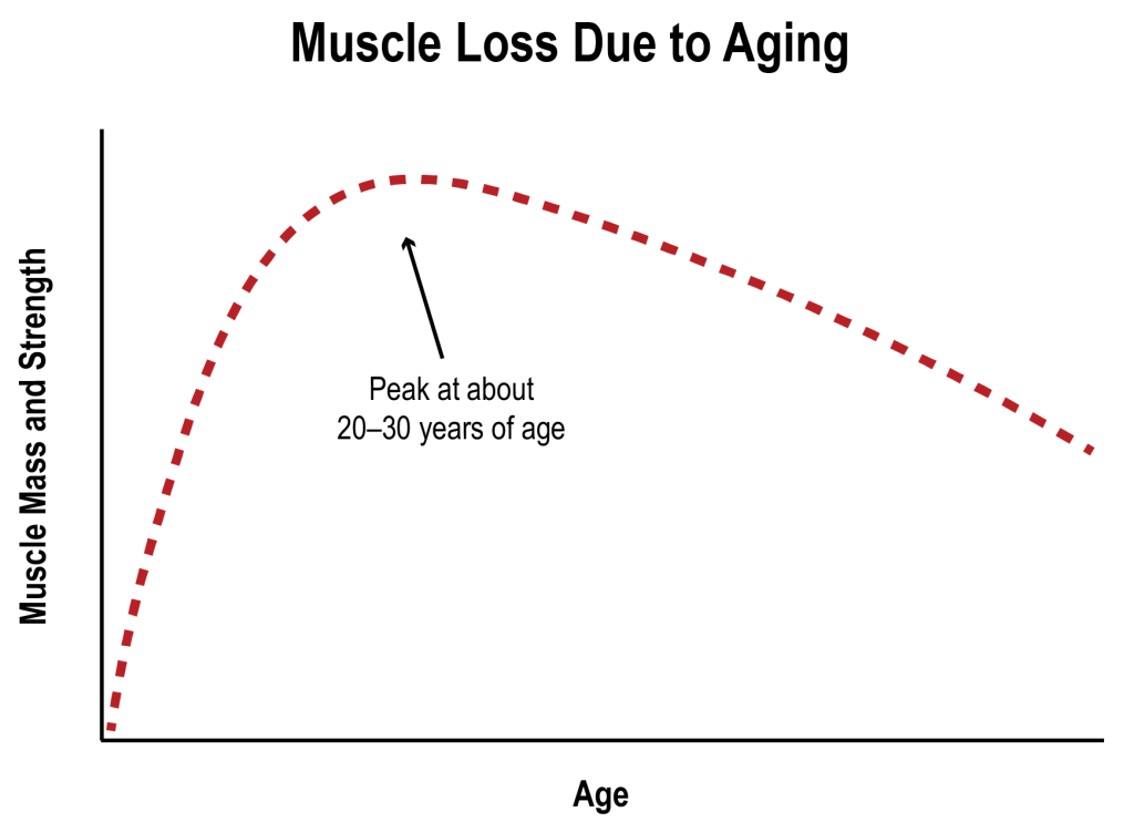 The decline of muscle and strength begins in you 30s if you lead a sedentary life.

The good news? Resistance training is an excellent medicine for this.

The fountain of youth is a barbell.