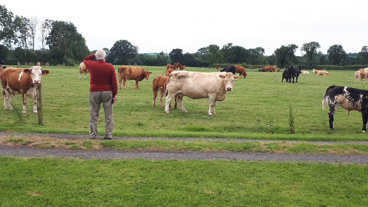 Happy 90th Birthday Dad! 🎉🎂

Starting his day like any other day with a trip out to see the stock! Please god he'll have many more years admiring cattle! 

Legend of a man 💪😊
