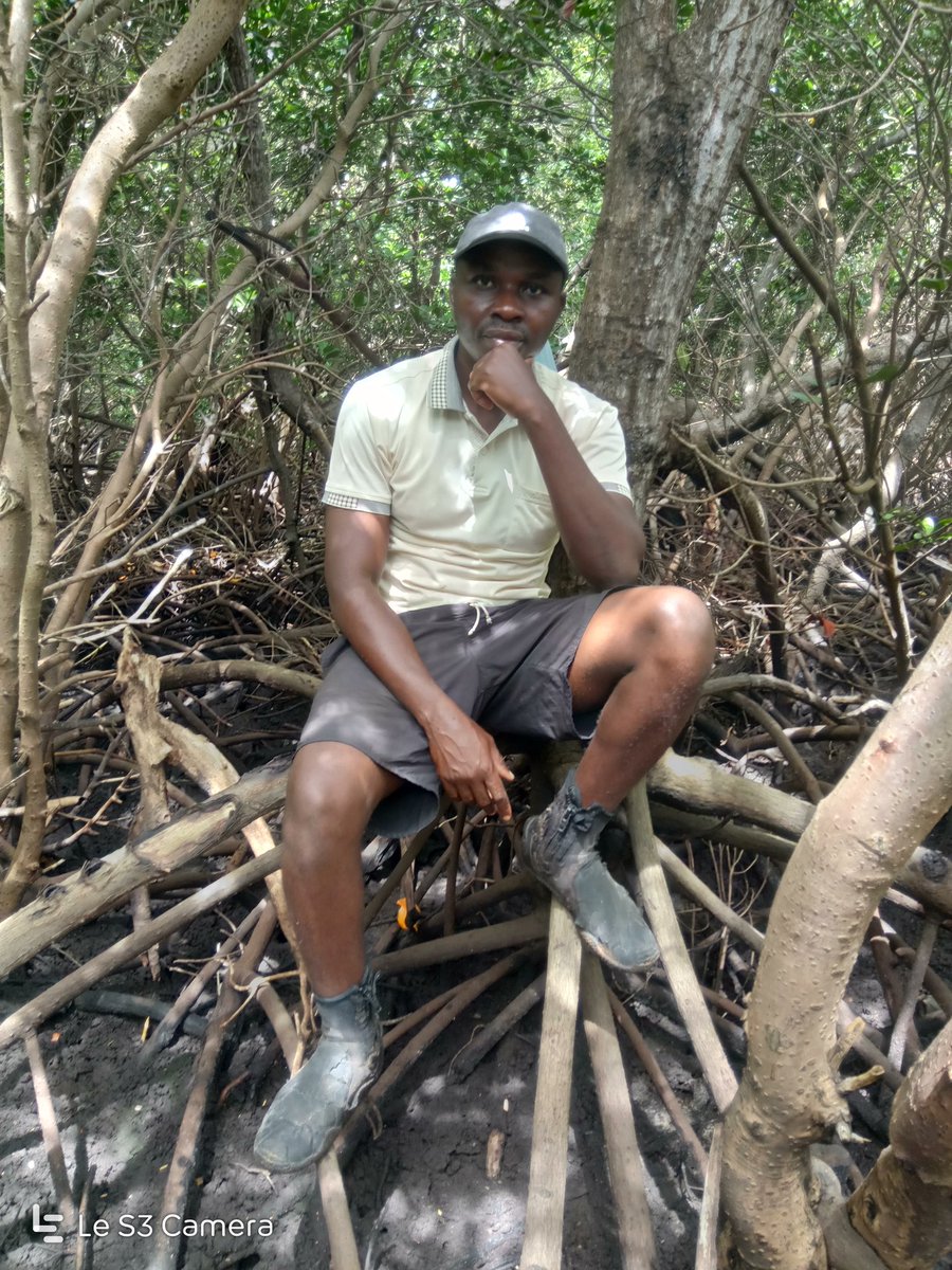 6 days of mangrove restoration!! Clean air for generation to come.