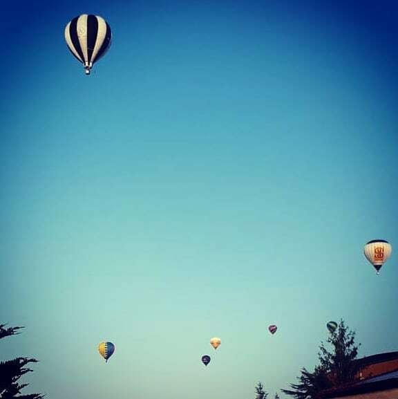Welcome back
•
•
•
#hotairballon #mongolfiere 
#Todi
#Umbria
#Italy 🇮🇹 instagr.am/p/CSEXQ_ro0-2/