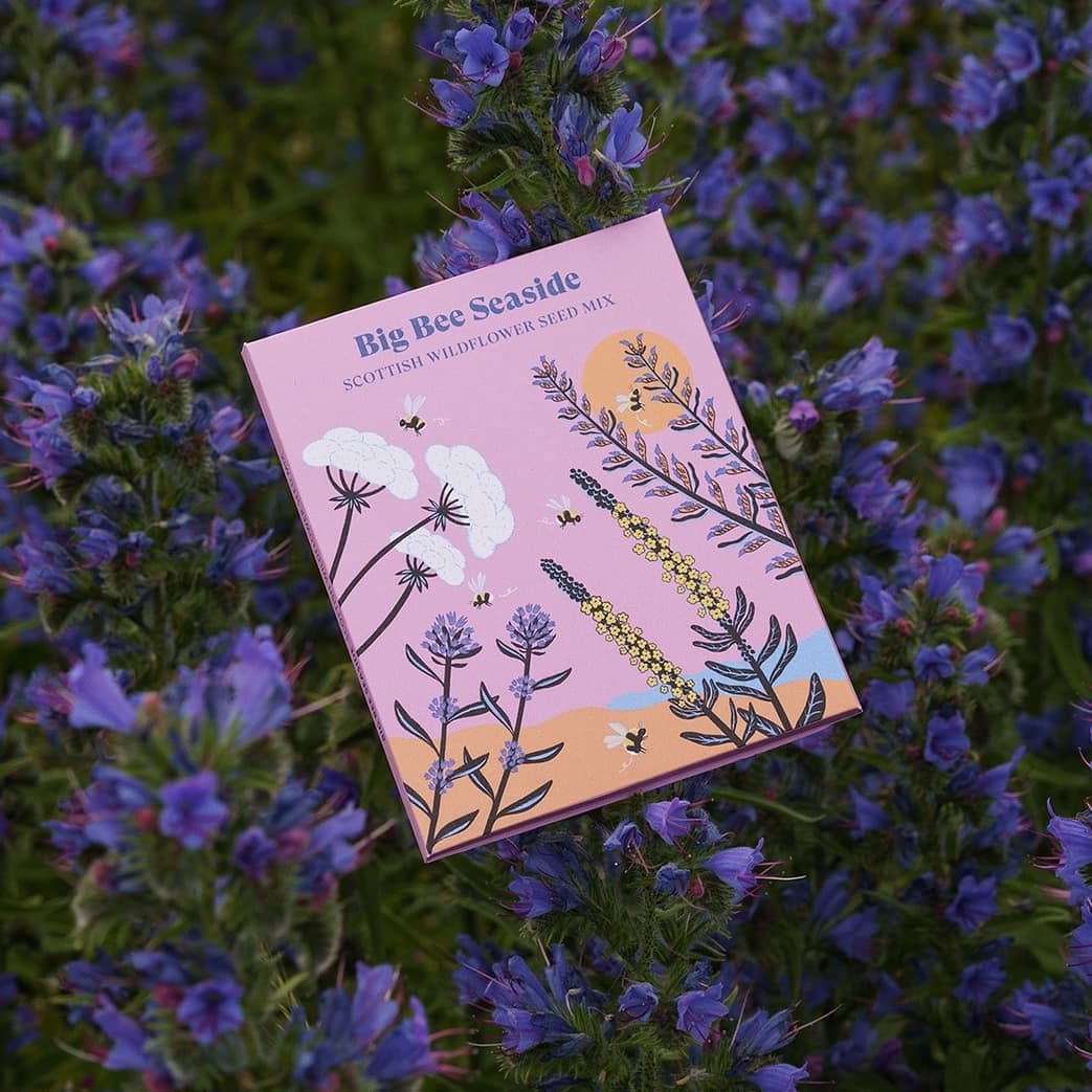 LocalHeroesScot's tweet photo. Introducing 🌸🌼🌱 limited edition souvenirs as part of Daytrippers! a project by @LocalHeroesScot for @VADundee. ⁠Shweta Mistry, Fiona Moon and Klara Sormark⁠ have designed wildflower seed boxes featuring native flowers that support local wildlife. https://t.co/XVIIPRkMvG