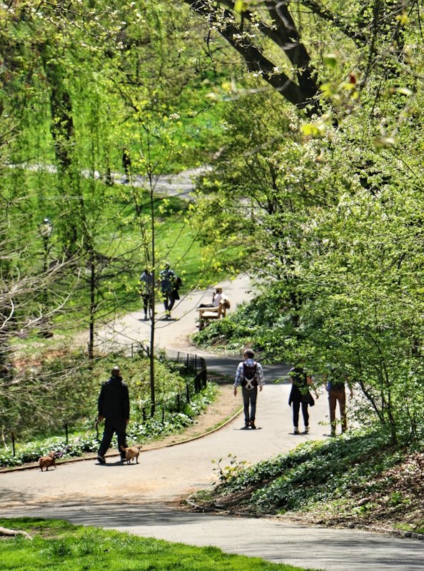 Although We May Follow the Same Path, We Will Go in Our Own Direction....#NYC #art #CentralPark #nature #beauty #streetphotography #summer #mycentralpark @cityguidenyc #ThePhotoHour @agreatbigcity 
@discovering_NYC @spann @ThePhotoHour @WhatsTrending