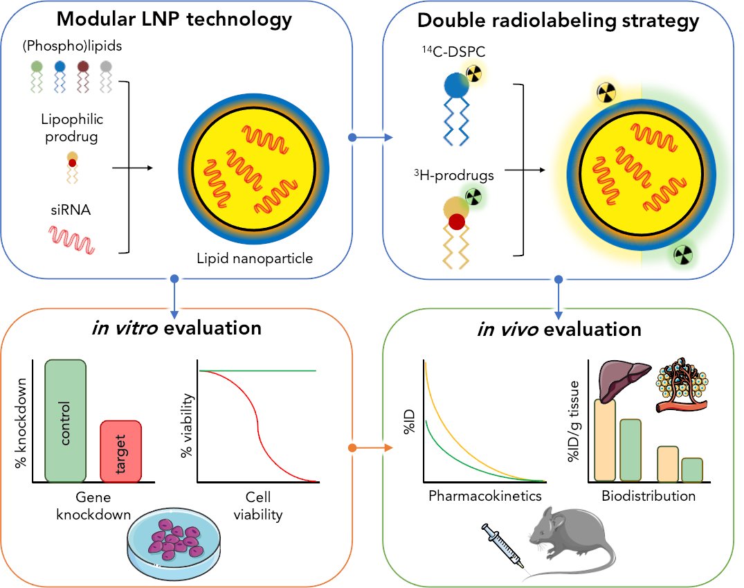 Just out in <a href="/wileyinresearch/">Wiley in research</a> #Small! Collaborative effort <a href="/UBC/">University of British Columbia</a> <a href="/UMCUtrecht/">UMC Utrecht</a> <a href="/BCCancer/">BC Cancer</a> funded by 
<a href="/MSCActions/">Marie Skłodowska-Curie Actions</a> <a href="/NWO_TTW/">NWO-domein TTW (inactief)</a> showcasing #LNP #prodrug technology developed by Integrated NanoTX integratedntx.com
Open access article ➡️ bit.ly/3igjKic