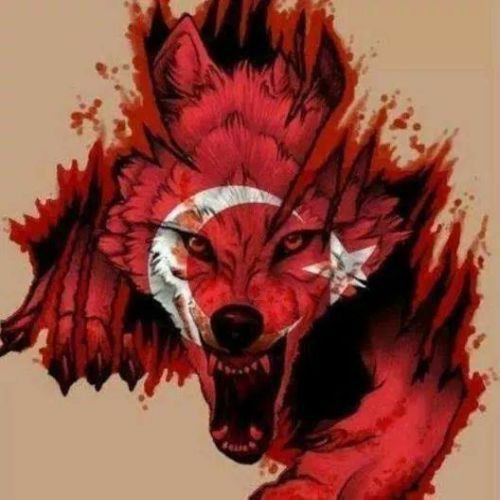 sevdasevgid's tweet photo. Biz Bize Yeteriz EvelAllah!.

#StrongTürkiye #WeDontNeedHelp https://t.co/gdfPY4Bc62