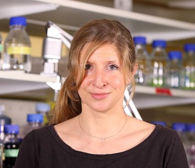 FENSorg's tweet image. Stéphanie Baulac
Stéphanie Baulac’s research focuses on unravelling the molecular and cellular mechanisms underlying #epilepsies with malformation of the #corticaldevelopment, with a particular interest in brain mosaicism. 
@BaulacS