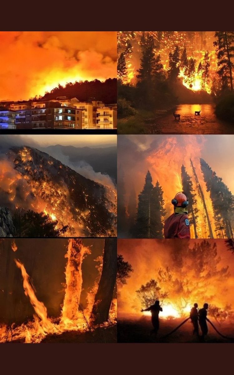 "Bir zulme engel olamıyorsanız,
Onu herkese duyurun!"
Hz.Ali
#HelpTurkey