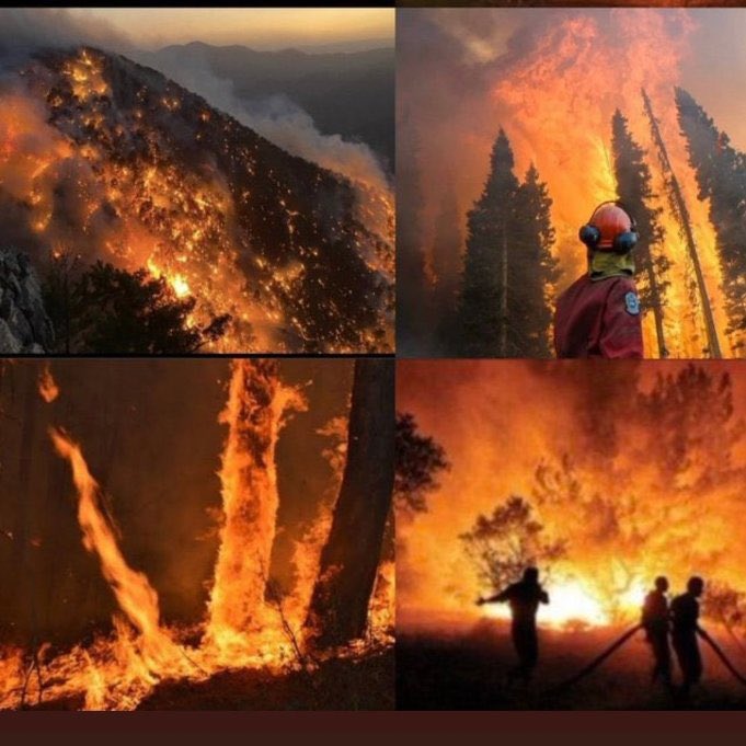Geldikleri gibi gitmediler. 
Kimi itini biraktı, kimi bitini, kimi de piçini. Yoksa bu kadar ŞEREFSİZİN bizden olması mümkün değil! 

#StrongTurkey #WeDontNeedHelp #OrospuÇocukları
