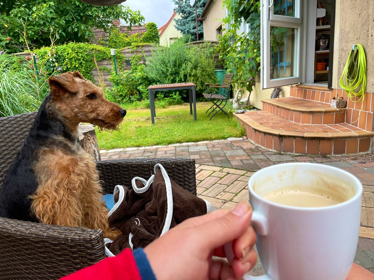 wenzline's tweet photo. Erstmal Kaffee.™️

. https://t.co/Sa0y9B5qfU