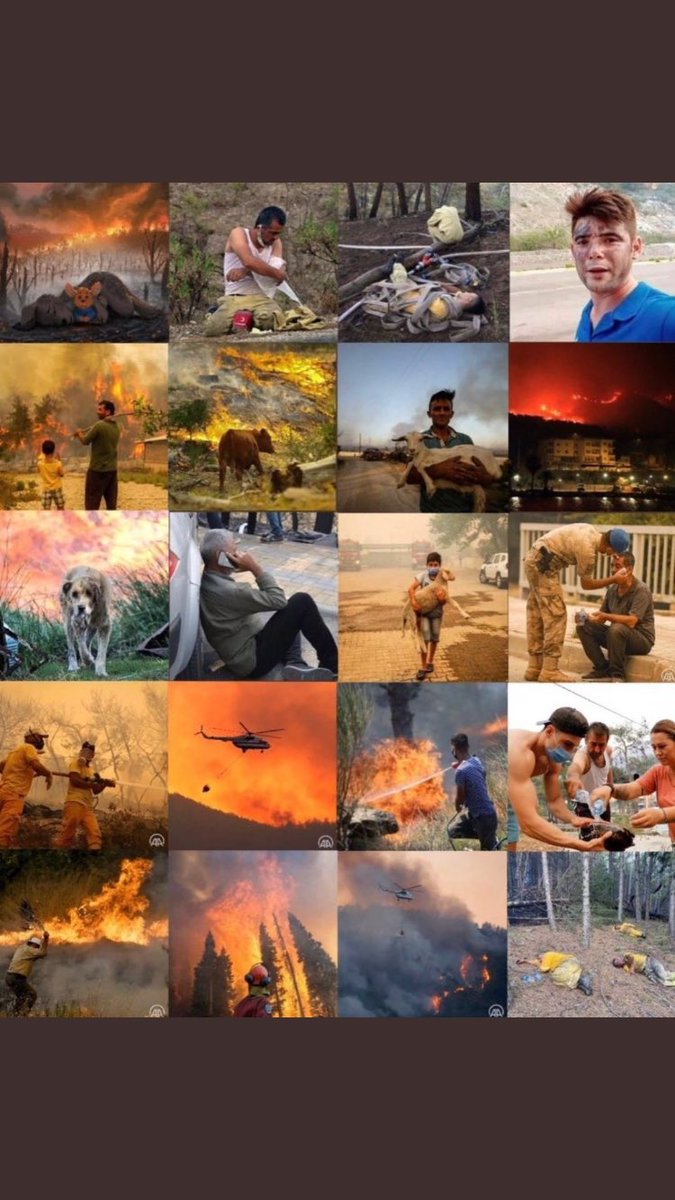 empireofthektty's tweet photo. Please help Turkey, we are so tired 😔 #helpturkey https://t.co/UEfnZuat29