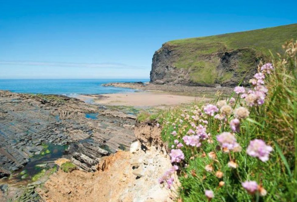 CoxLetters's tweet photo. 8/#Crackington and #StranglesBeach impressed them in 1909. The rocks "will suggest a thousand pleasant fancies" says Black's guidebook (They will return very many times). They #explored and interviewed the good woman at the house nearest the beach #Holidays #Cornwall #letters https://t.co/FMje5QbKzZ