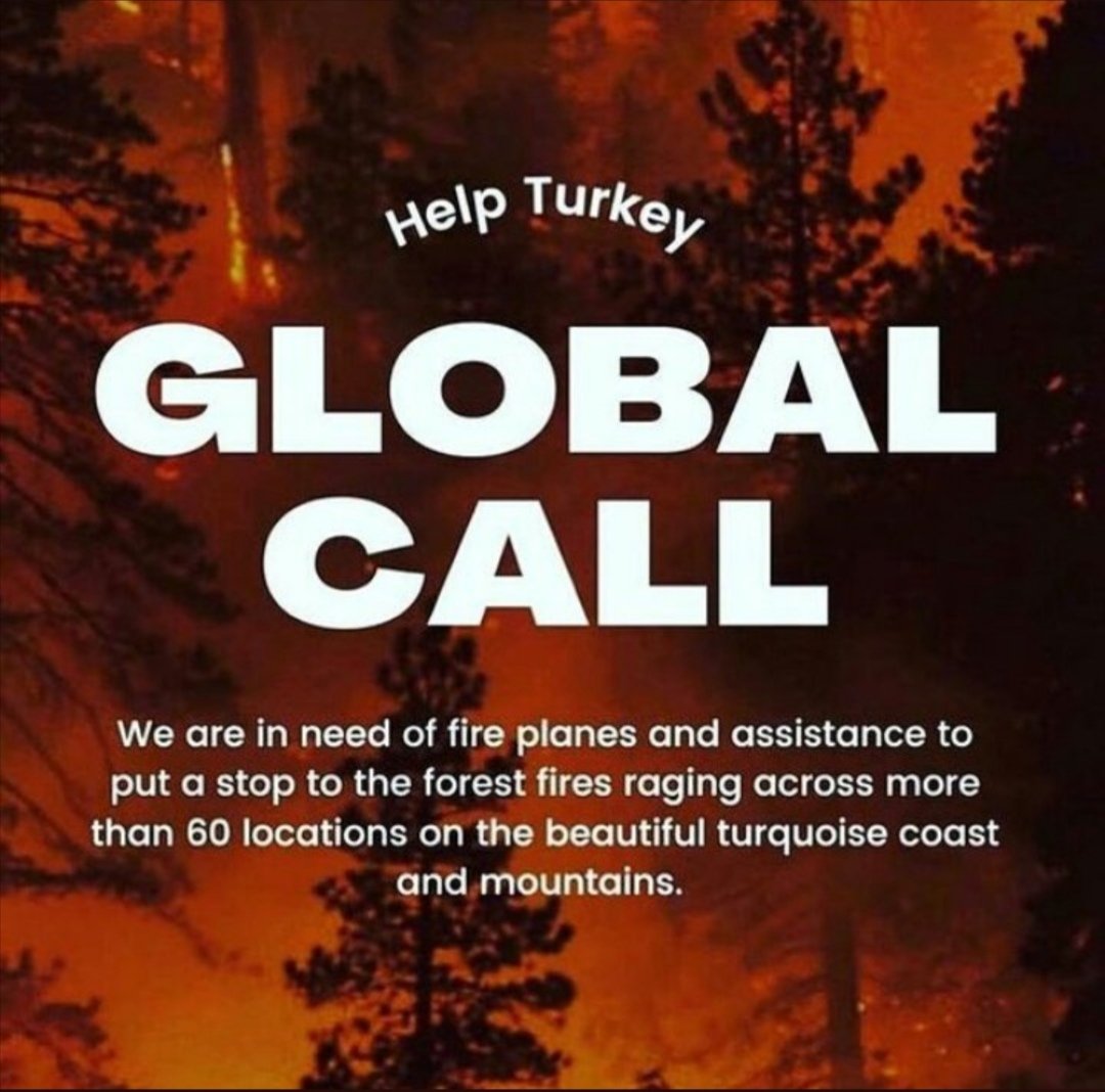 eyuboglu_nisa's tweet photo. #helpturkey https://t.co/QDYCHb5L7o