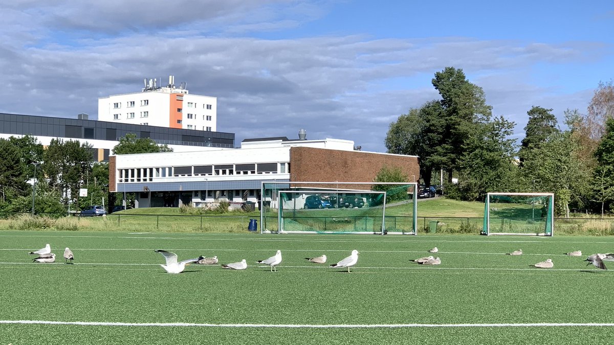 mrjorgen's tweet photo. Landslaget inkl. innbyttere er klare på midtbanen på #Lambertseter i dag, men ut fra stemninga er det tydeligvis fortsatt en stund til avspark. #foppall https://t.co/fc9LVK0ukI