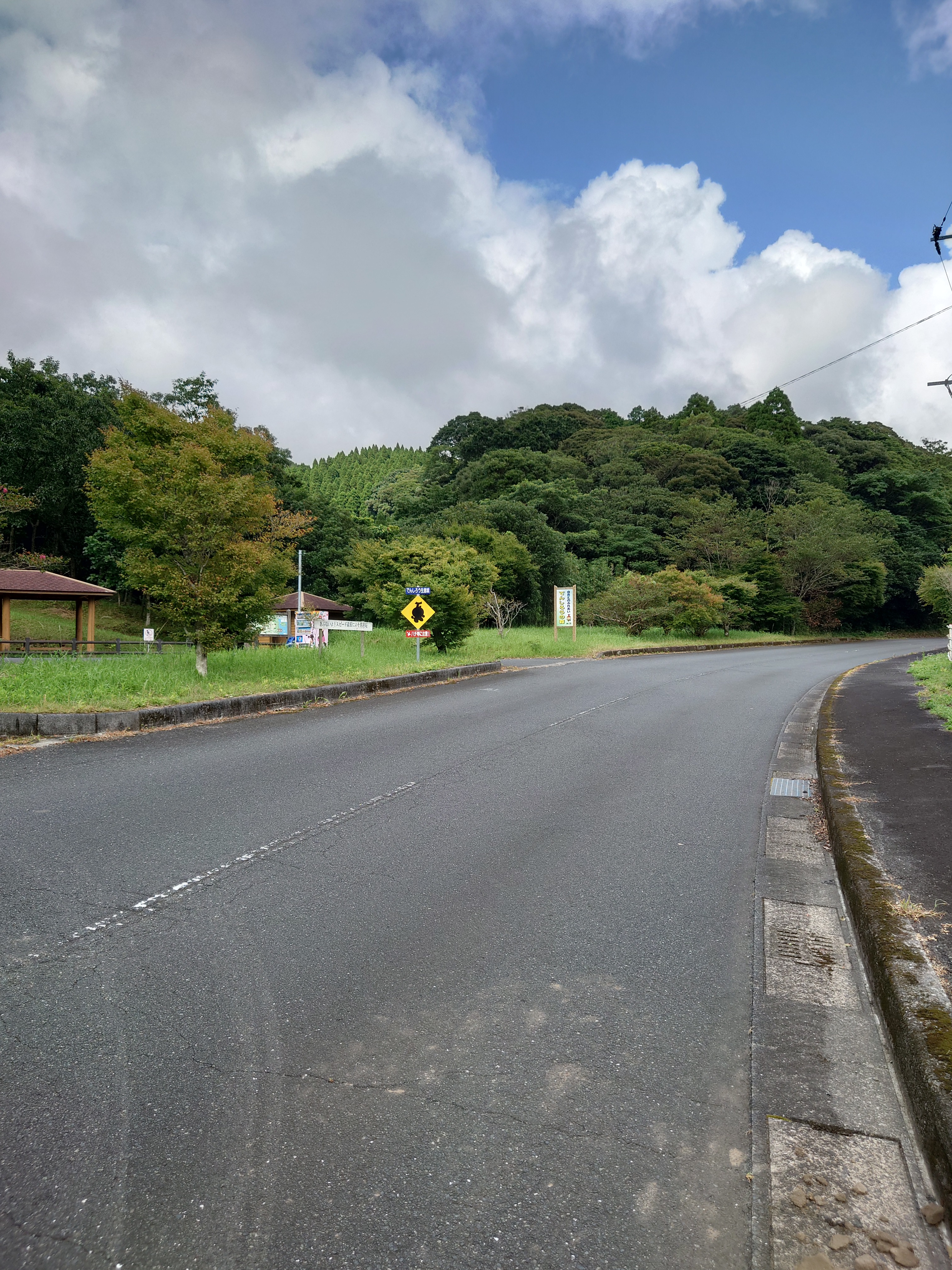 錦江町役場 でんしろうの森 国道448号線沿い 奥花瀬マス釣り場付近にある でんしろうの森 は クヌギの木が沢山あるので クワガタやカブトムシなどの虫捕りが楽しめます 場所 T Co Pjuenfduxa 蚊や蜂もいますので 虫よけ対策は