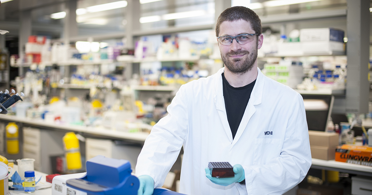 Congratulations to WEHI Lab Head A/Prof Marco Herold @MarcoHerold_J on being awarded the David Syme Research prize for his work on adapting CRISPR to advance clinical research 👏 science.unimelb.edu.au/news/david-sym… via @UniMelb