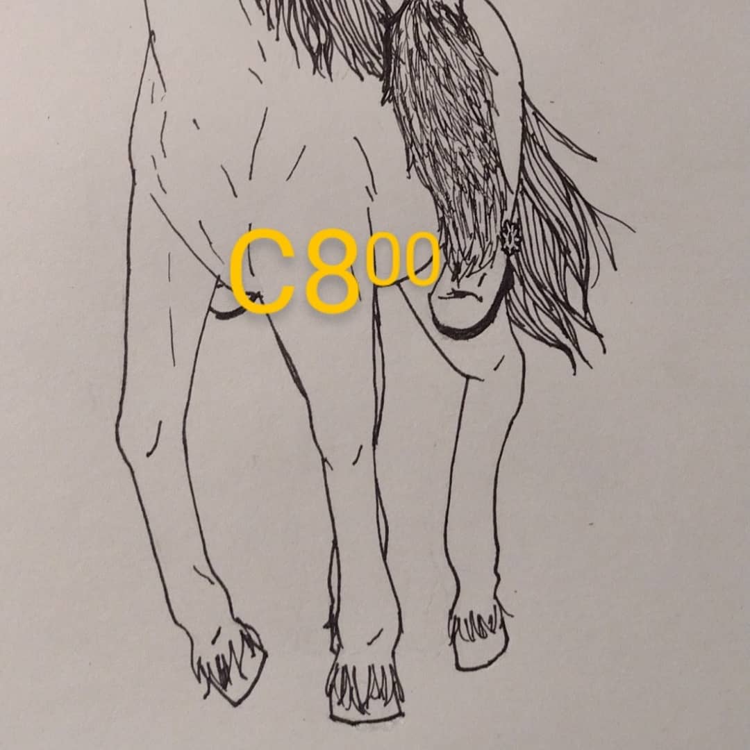 EmoTheNerd's tweet photo. already posted on Instagram ( https://t.co/8PLcpb8Lom ) but here's my day 1 ((: @yeehawgust Midnight Ride.
this is my OC, Harry Hope 💞 https://t.co/avG1beMHua