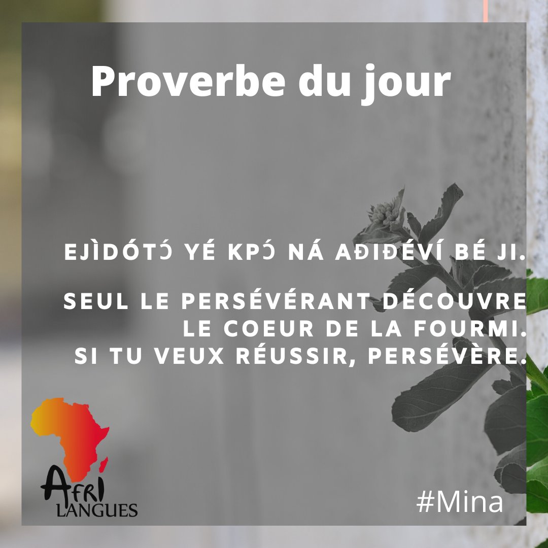 Sagesse du jour en langue mina !

Nous vous souhaitons une agréable semaine ! 

#sagesseafrique, #proverbeafrique, #mina, #languesafricaines, #languesafrique, #afrilangues, #languesetculturesdafrique, #africanlanguages, #africancultures, #africa, #afrique