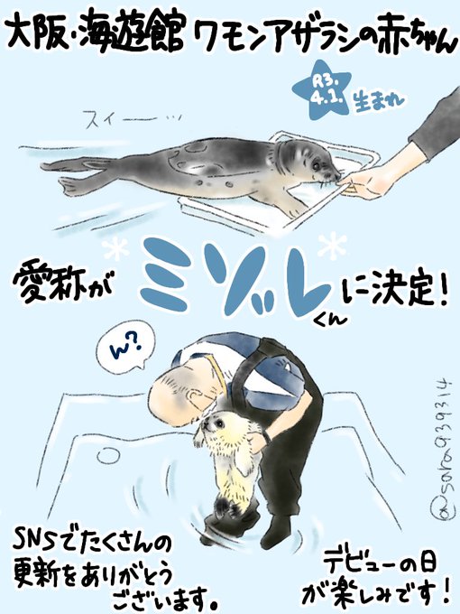 大阪 海遊館のtwitterイラスト検索結果 大阪 海遊館のtwitterイラスト検索結果