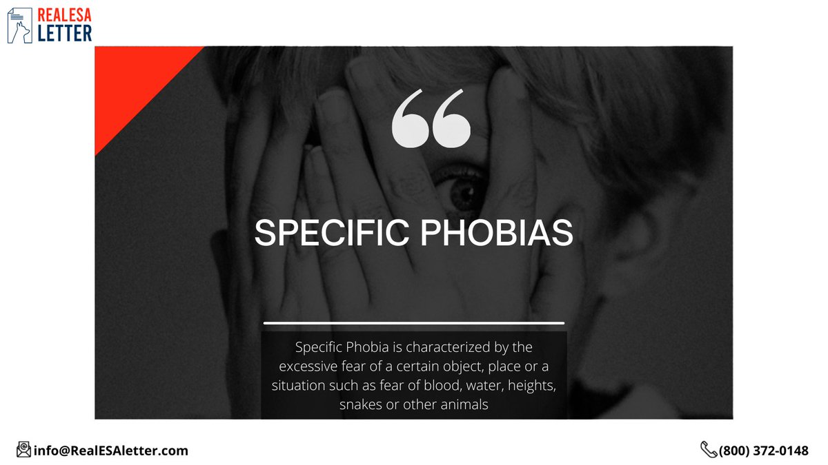 realesaletter's tweet photo. For those with specific phobias, it has been found that 75% of people are able to conquer their fears when treated with cognitive behavior therapy. Read more on,
https://t.co/ZqlnE0ZjU5
#Phobia #mentalhealth #mentalillness #specificphobia #realesaletter #esaletter https://t.co/hgXbEp4p7n