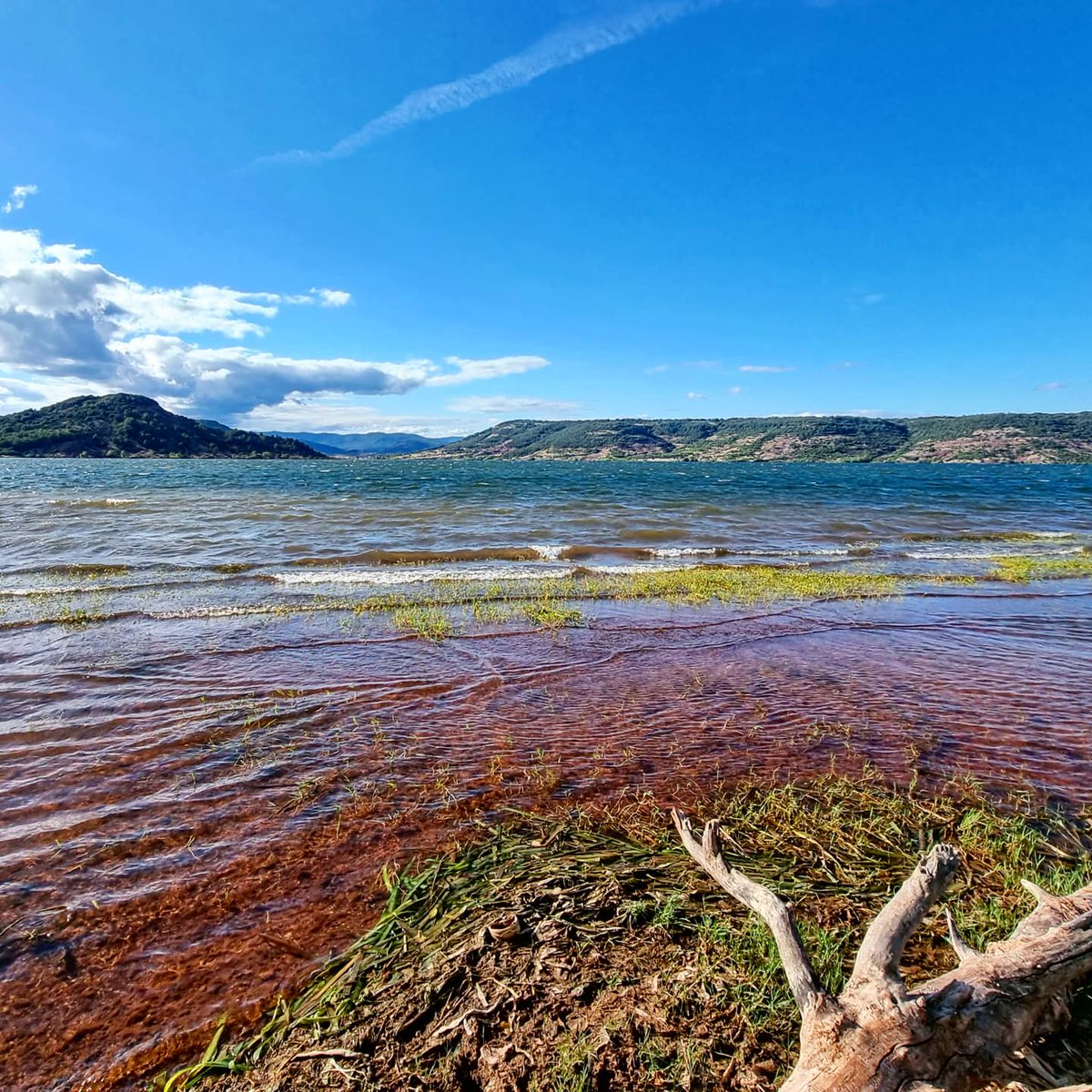 Els colors del Lac du Salagou (Lac de Salagon, en occità). #lacdusalagou #lacdesalagon #hérault #erau #occitanie #occitània #bicicleta #gravel #estiu2021