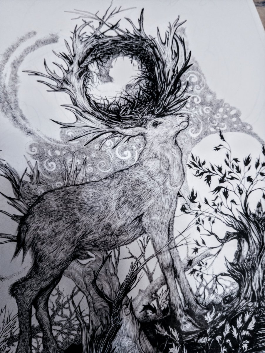 NmethGb85011213's tweet photo. Lépésről lépésre haladok az új rajzommal. A2, tollrajz lesz papíron. #penonpaper #drawing #stepbystep #artwork #deerdrawing https://t.co/6qqqnOYGEh