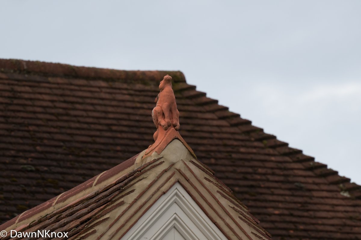 SunriseCalls's tweet image. You've seen dragons and gargoyles but this looks suspiciously like a rabbit or hare... I couldn't get far enough to the side to see. A Roof Rabbit? A House Hare? Or perhaps you know better? #DoNotLookUp #LurkingAbove #rooftop #roofrabbit #househare #OnTheRoof