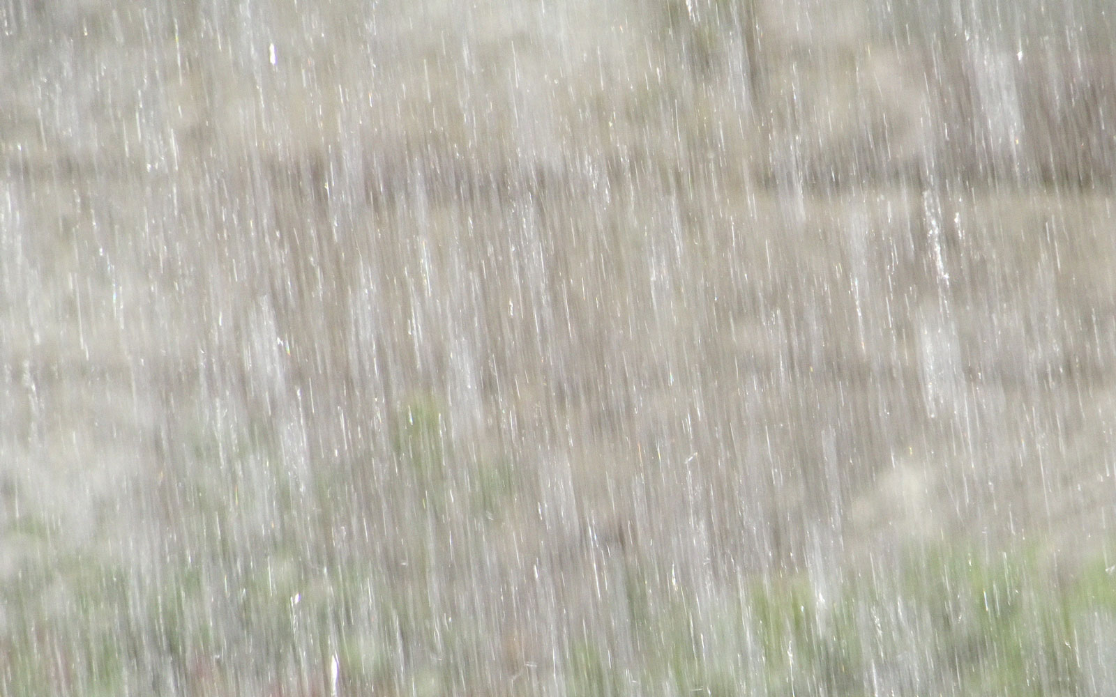 夕立は白雨にして喜雨か』 : ふらり道草―季節の往来―