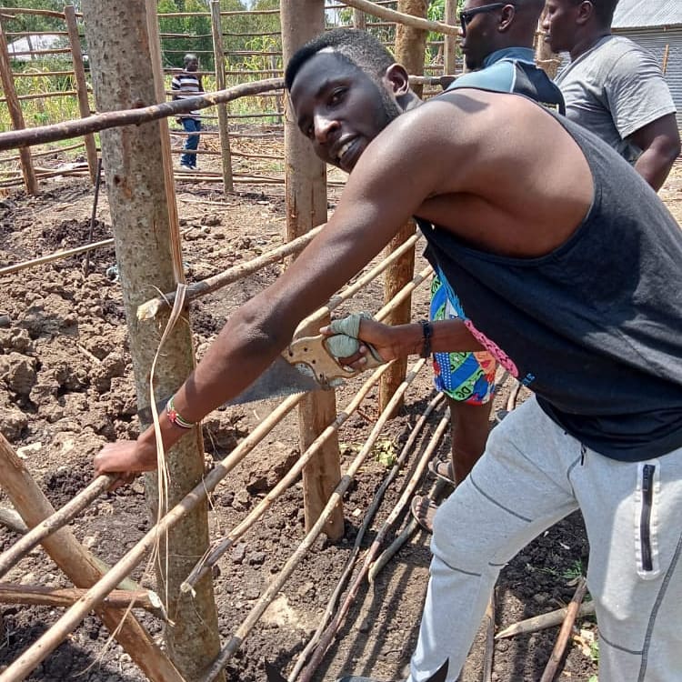 The Background Angel Network tweet media