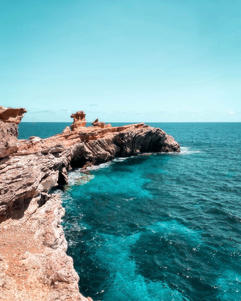 SaBrisaRest's tweet photo. Ibiza nos inspira nuestra cocina y nuestro corazón❤️ Es un lugar mágico del que proceden muchos de los productos que empleamos en #SaBrisa. https://t.co/RnfDBB3NBK