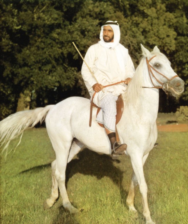 Veteran ✪ tweet media