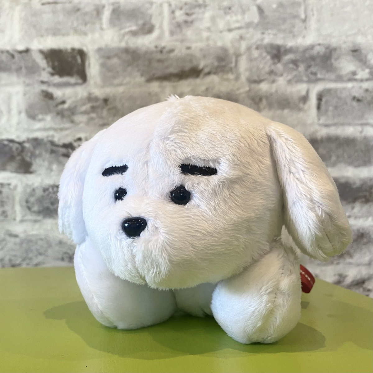 【#和山やま POPUP STORE
 produced by RE:SHAZAM】

和山先生の犬がぬいぐるみになります🐶

\あの犬/がぬいぐるみになって登場です🐶和山先生からも「かわいいですね!」とお墨付きいただきました🐶

https://t.co/mD4LYMG1Tu

※こちらの商品はなくなり次第終了致します。

8/7〜8/29まで開催! https://t.co/E0AkDLSwgf 