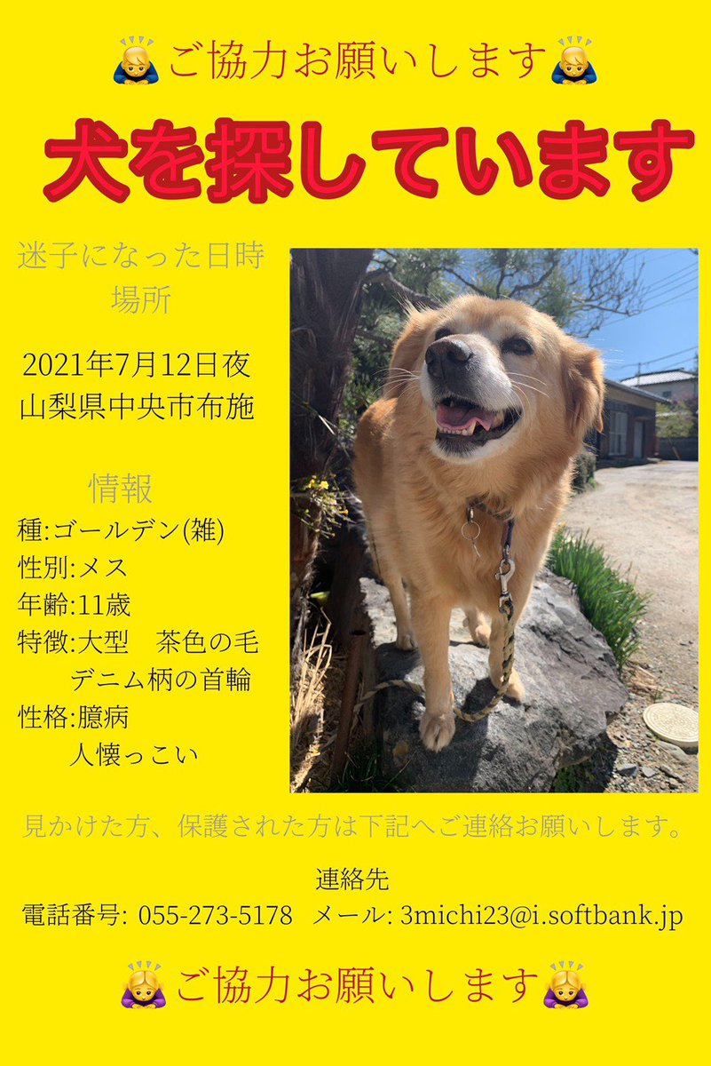 愛犬さくらを探しています 山梨県 さくらを迷子にさせてしまって3週間が経ちました どこにいるのか 生きているのか とても心配です 目撃された方 保護された方 何か情報を聞いた方がいましたら ご連絡お願い致します 迷い犬 迷子犬 山梨 愛犬さくらを探しています 山梨県 さくらを迷子にさせてしまって3週間が経ちました どこにいるのか 生きているのか とても心配です 目撃された方 保護された方 何か情報を聞いた方がいましたら ご連絡お願い致します 迷い犬 迷子犬 山梨