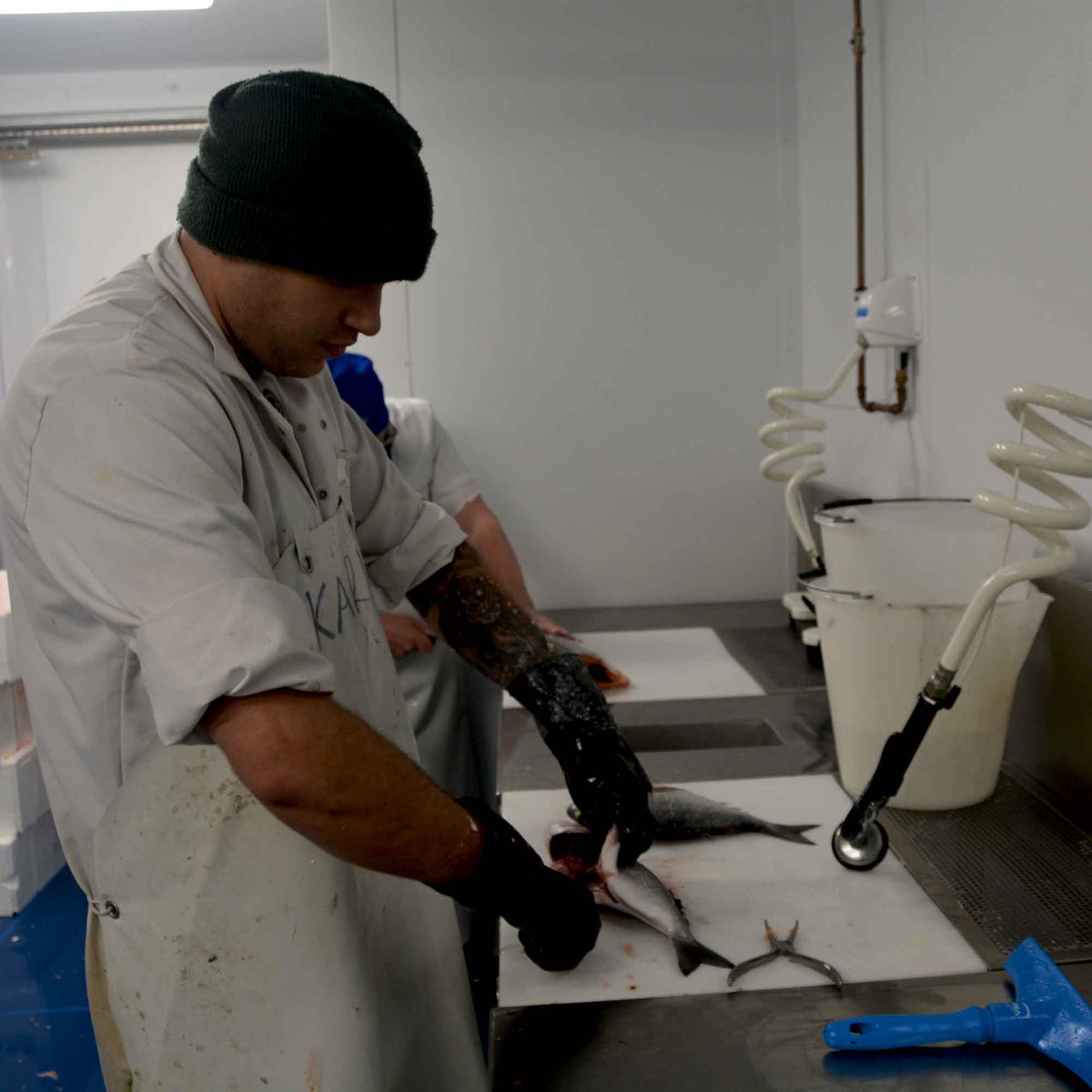 Birmingham Wholesale Market tweet media