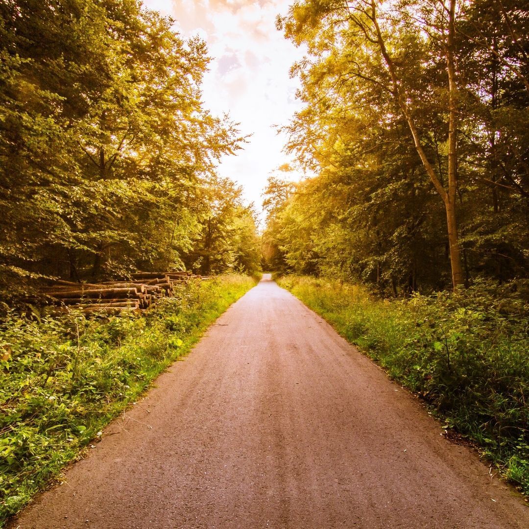 OrderSpace tweet media