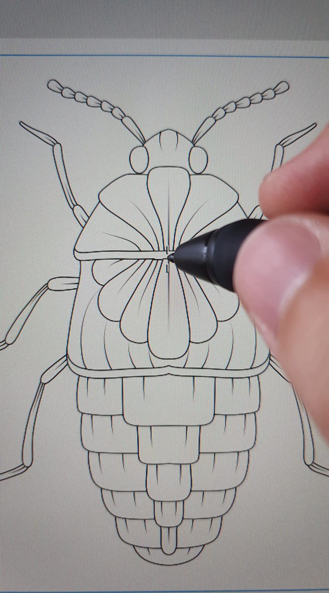 Radu_Frasie's tweet photo. Sneak peek 👁
Just a few drawings left to be done😁
🐞🐞🐞
.
.
#radufrasie #radufrasiecoloringbooks #adultcoloringbooks #adultcolouringbooks #coloringbook #adultcoloringbook #insects #colouringbooks https://t.co/TuItE7iWd5