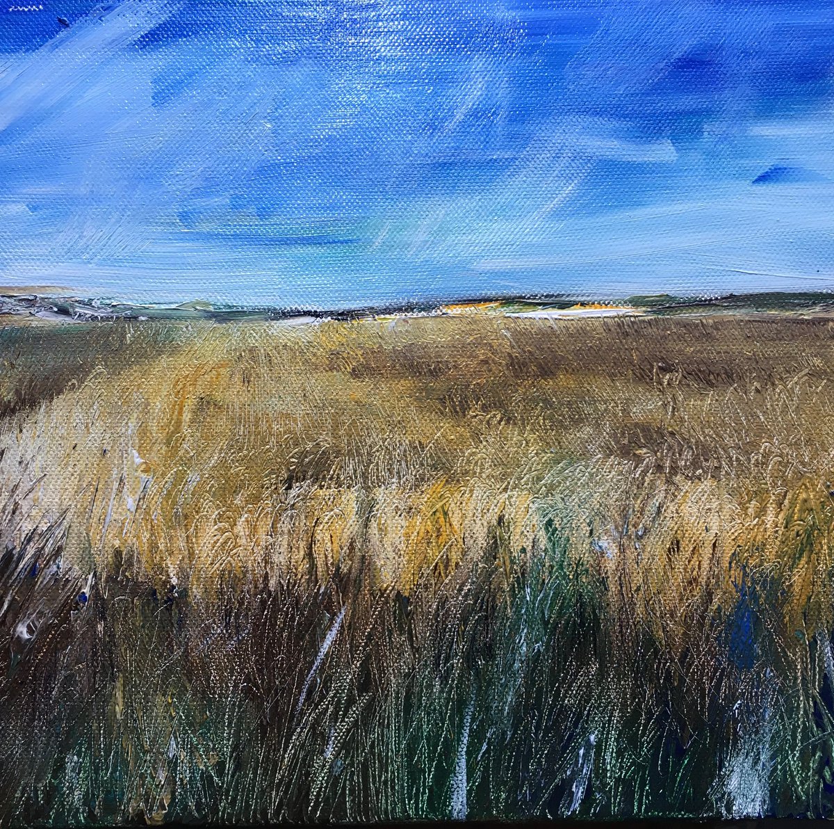 andotherstuff's tweet photo. Been trying to capture the colours and mood of my surroundings. This is a very cheerful blue for me. I’m usually all about the muted tone. This is a cornfield painted in acrylic 10” x12” on canvas. 
I hope this brightens your day😊 https://t.co/3nSz5Walr8