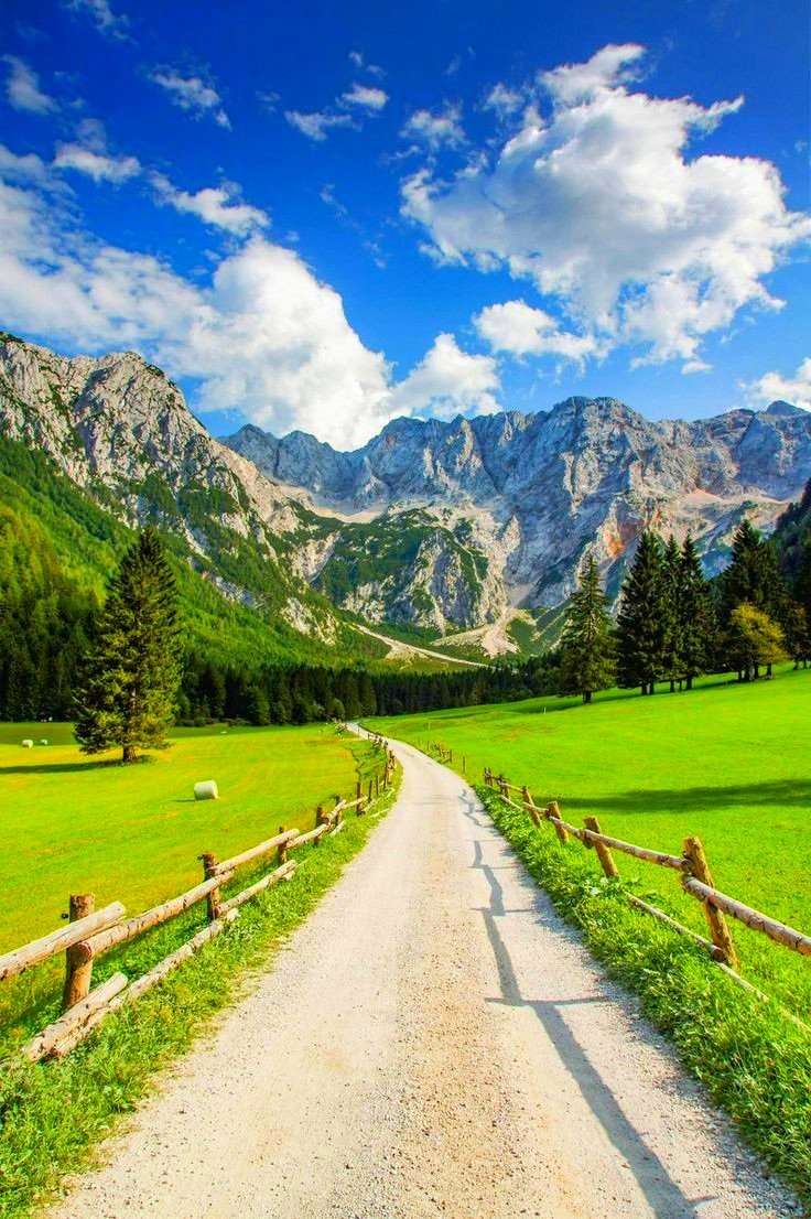 LoveDailyInspi1's tweet photo. Dream as if you’ll live forever, live as if you’ll die today🌴🌲☘☘♥️ https://t.co/eRQ5vrQcva