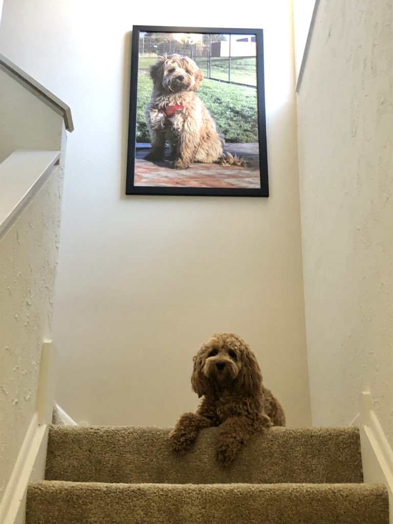 ItsdaNorma1's tweet photo. Da Pops sayz Meese picture should be hanging at da Louvre. Meese says no but da bidding begins at $5,000. Meese will pawgraph dis for da lucky bidder. #ItsdaNorma1 https://t.co/9YFJeXRMQY