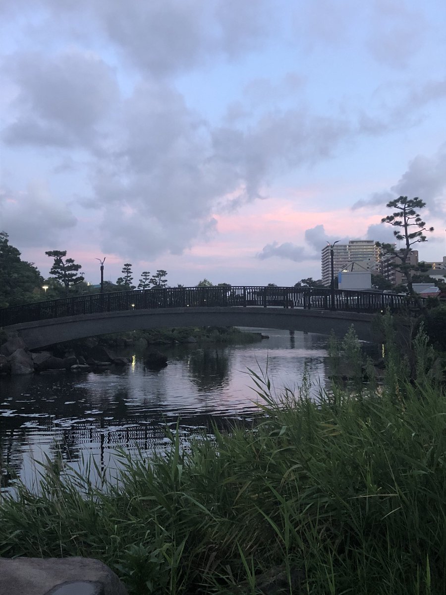 taichdayo's tweet photo. 月曜散歩 https://t.co/7DL7Alb4VZ
