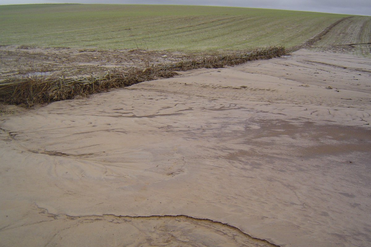 chambagri_hdf's tweet photo. Vous possédez des plantations réalisées dans le cadre de programmes de lutte contre l'#érosion (#fascines, #haies, bandes de #miscanthus)? Pensez à effectuer un curage du dépôt de terre à l'amont. Cela garantira efficacité de votre ouvrage pour l'hiver prochain.
+info:0321605760 https://t.co/6kO8DY7lcT