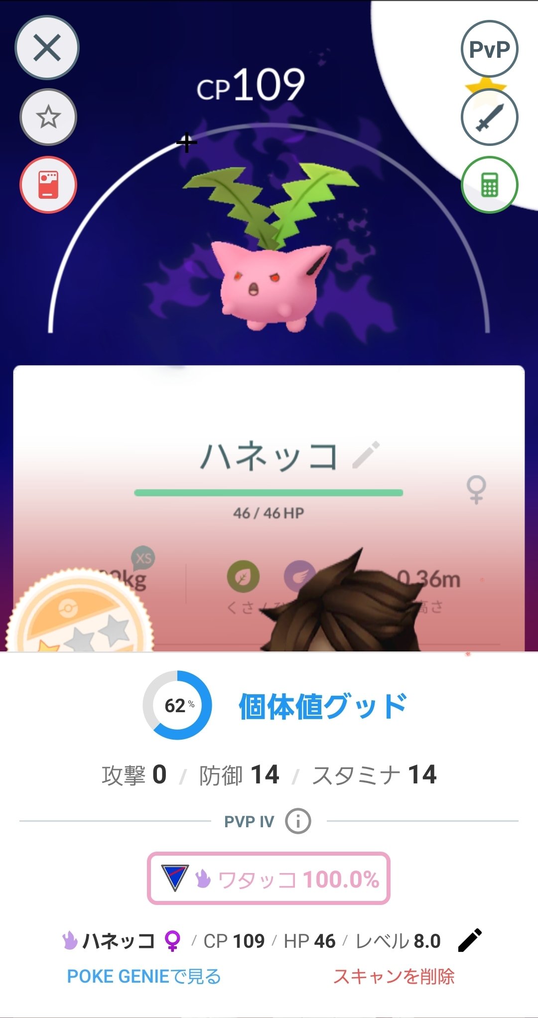 Itto すごい子ゲットしました ポケモンgo Pokemongo Goバトルリーグ Gobattleleague Gbl ハネッコ Hoppip Shadowpokemon T Co U8txrccz5q Twitter
