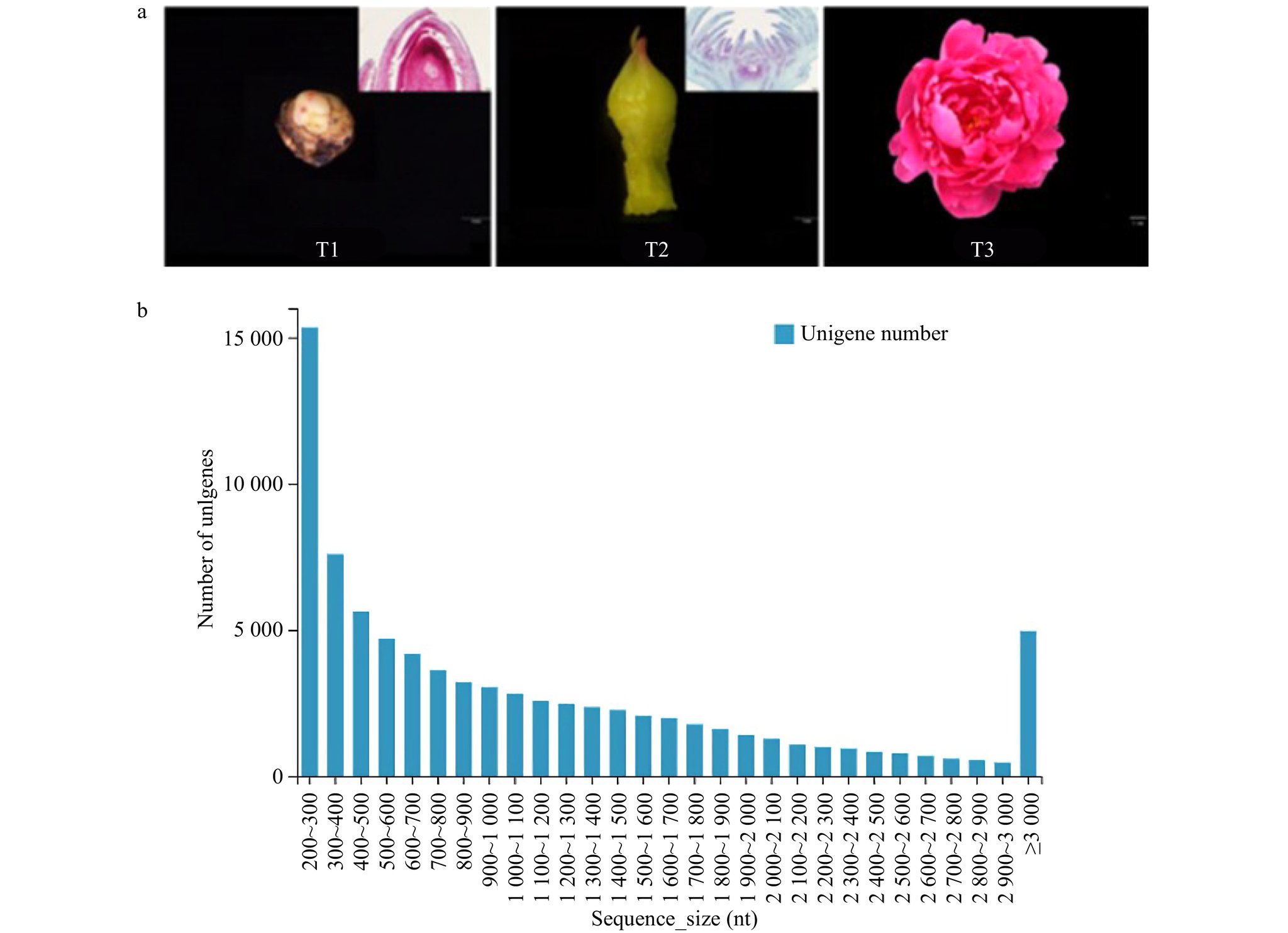 Ornamental Plant Research on Twitter "Identification and functional